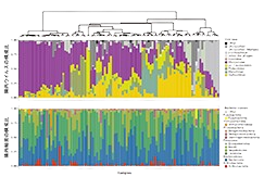 腸管自然免疫細胞