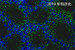 次世代ワクチン